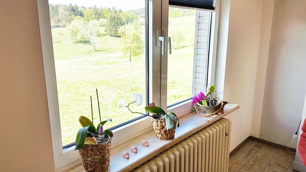 Monis Gemuetliche Ferienwohnungen Suhl Esterno foto
